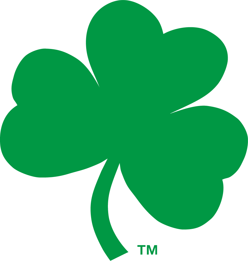 Notre Dame Fighting Irish 2006-2015 Secondary Logo v2 diy iron on heat transfer